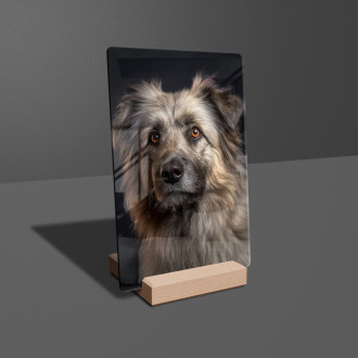Pyrenejský ovčiak realistic