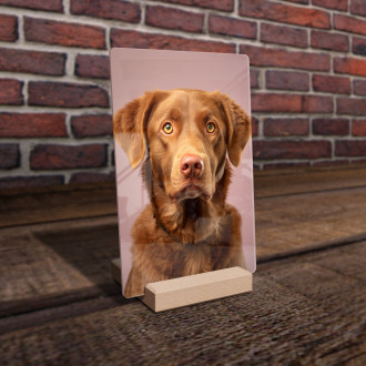 Chesapeake Bay retriever realistic