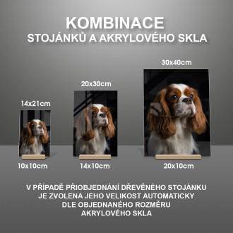 Cavalier King Charles Španiel realistic