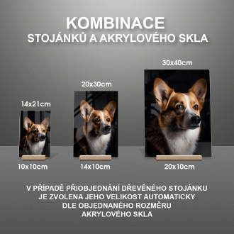 Pembroke Welsh Corgi realistic