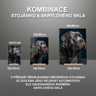 Neapolský mastif realistic