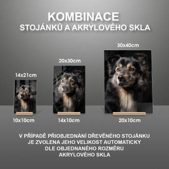 Fínsky laponský pes realistic