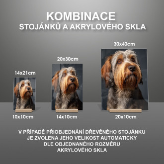 Veľký Basset Griffon Vendéen realistic