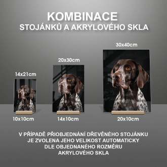 Nemecký krátkosrstý stavač realistic