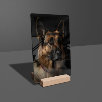 Nemecký ovčiak realistic