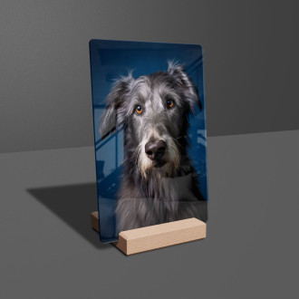 Škótsky deerhound realistic