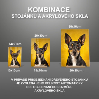 Rat Teriér realistic