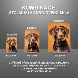 Nemecký drôtosrstý stavač realistic