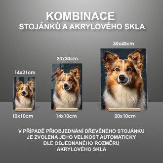 Islandský ovčiak realistic