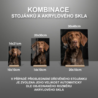 Vizsla realistic