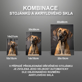 Sloughi realistic