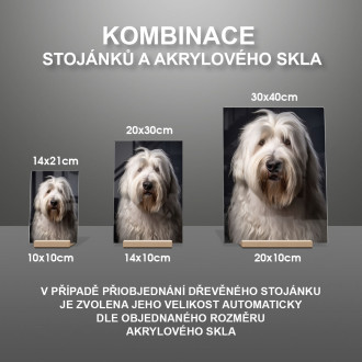 Starý anglický ovčiak realistic