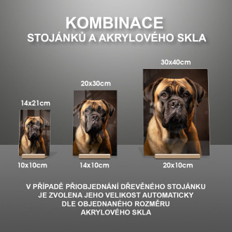 Bullmastiff realistic