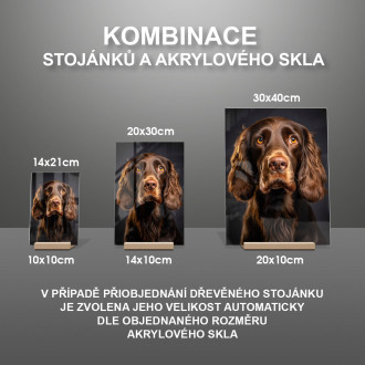 Poľný španiel realistic