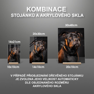 Stafordšírsky bulteriér realistic