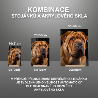 Čínský Shar-Pei realistic