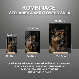 Nemecký ovčiak realistic