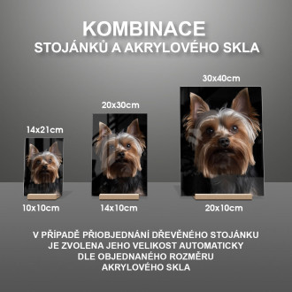 Jorkšírský teriér realistic