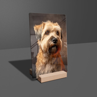 Soft Coated Wheaten Terrier realistic