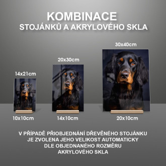 Gordon Setter realistic