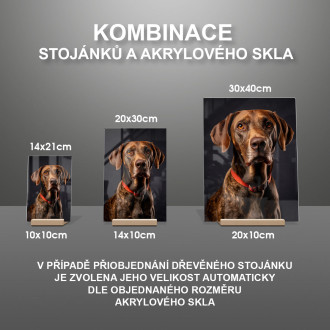 Plott Hound realistic