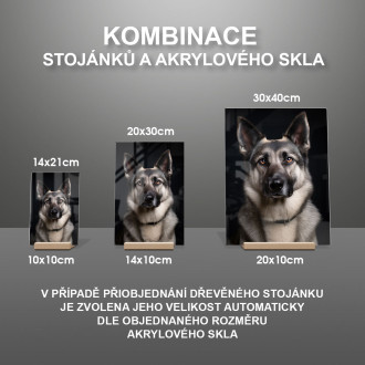 Nórsky Elkhound realistic