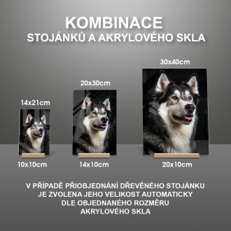 Sibírsky husky realistic