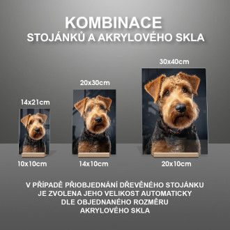 Waleský teriér realistic