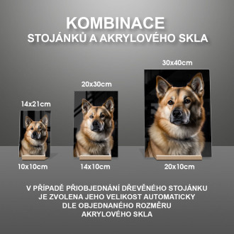 Nórsky Buhund realistic