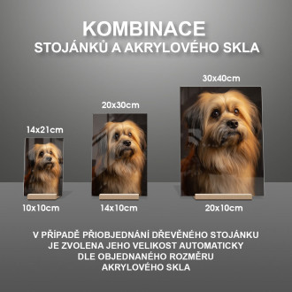 Lhasa Apso realistic