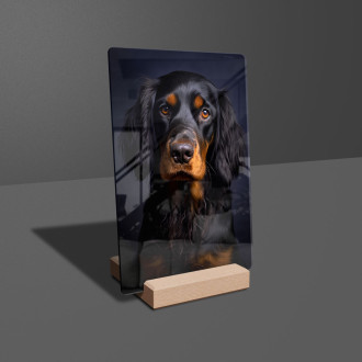 Gordon Setter realistic