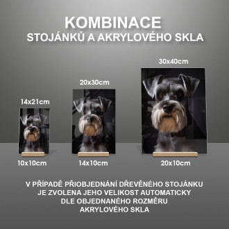 Malý bradáč realistic