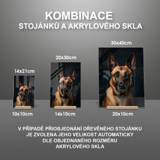 Belgický Malinoi realistic