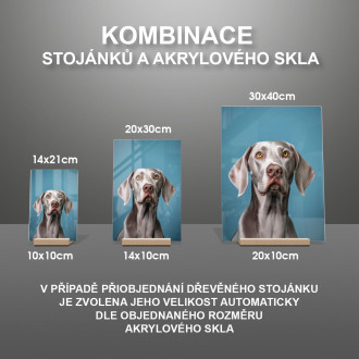 Weimarský stavač realistic