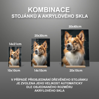 Nórsky Lundehund realistic