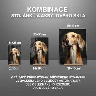 Saluki realistic