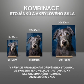 Škótsky deerhound realistic