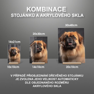 Pekinéz realistic