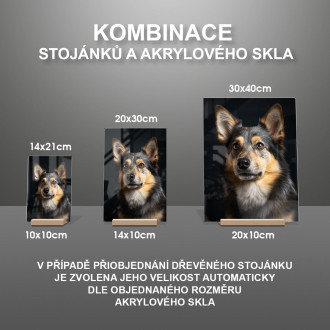 Švédsky Vallhund realistic