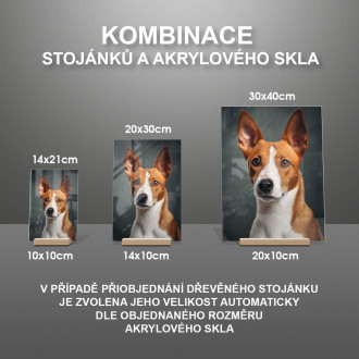 Basenji realistic