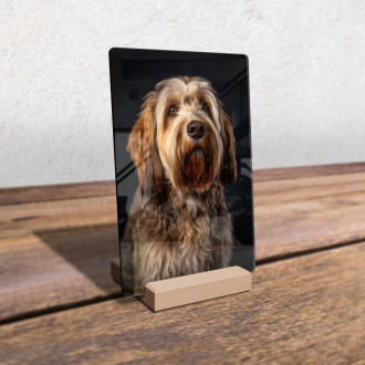 Otterhound realistic