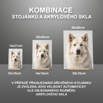 Kuvaszok realistic