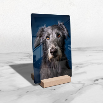 Škótsky deerhound realistic