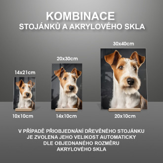 Foxteriér drôtosrstý realistic