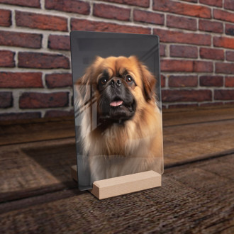 Pekinéz realistic