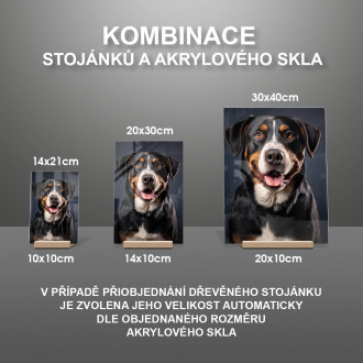 Veľký švajčiarsky salašnícky pes realistic