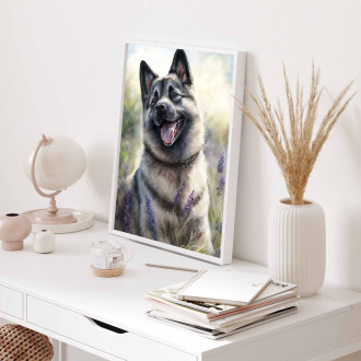 Nórsky Elkhound akvarel