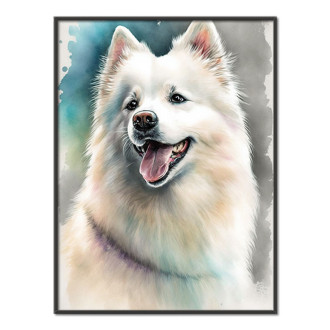 Americký eskimácky pes akvarel