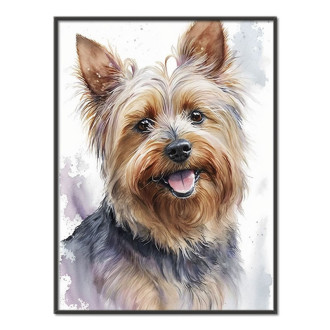 Silky Terrier akvarel