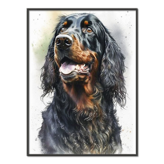 Gordon Setter akvarel